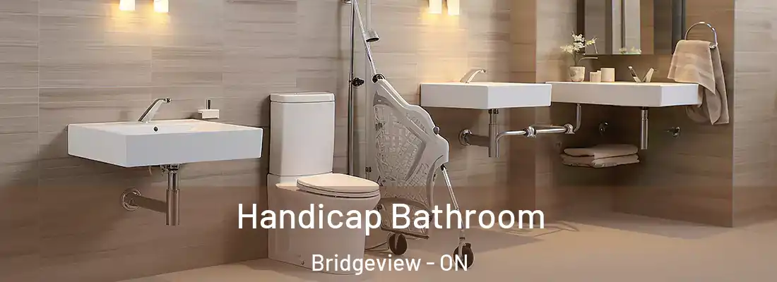  Handicap Bathroom Bridgeview - ON