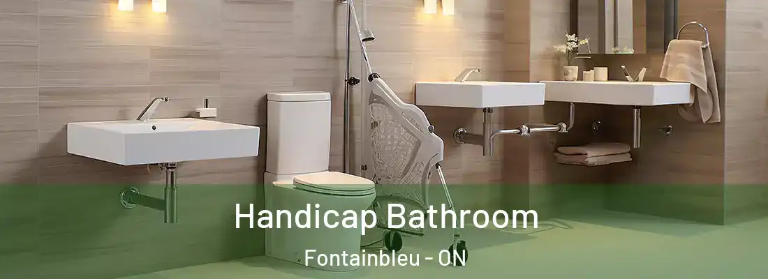 Handicap Bathroom Fontainbleu - ON