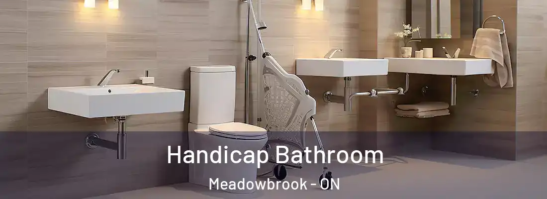  Handicap Bathroom Meadowbrook - ON