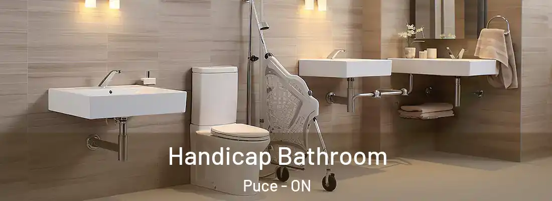  Handicap Bathroom Puce - ON