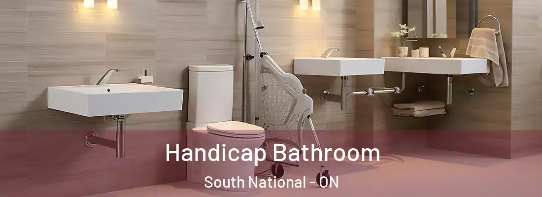  Handicap Bathroom South National - ON