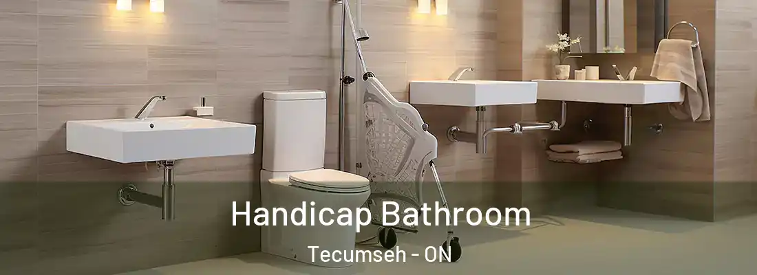  Handicap Bathroom Tecumseh - ON