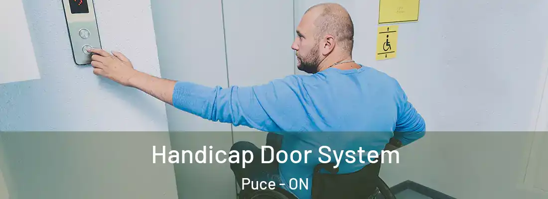  Handicap Door System Puce - ON