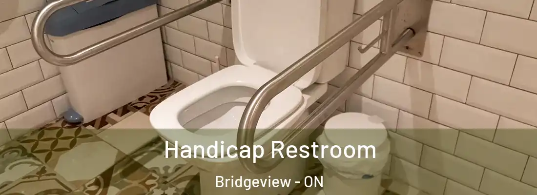  Handicap Restroom Bridgeview - ON