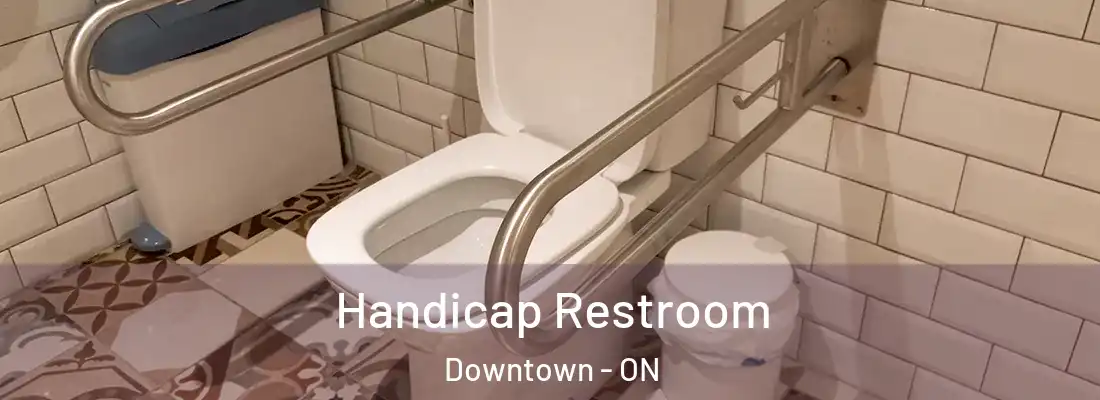  Handicap Restroom Downtown - ON