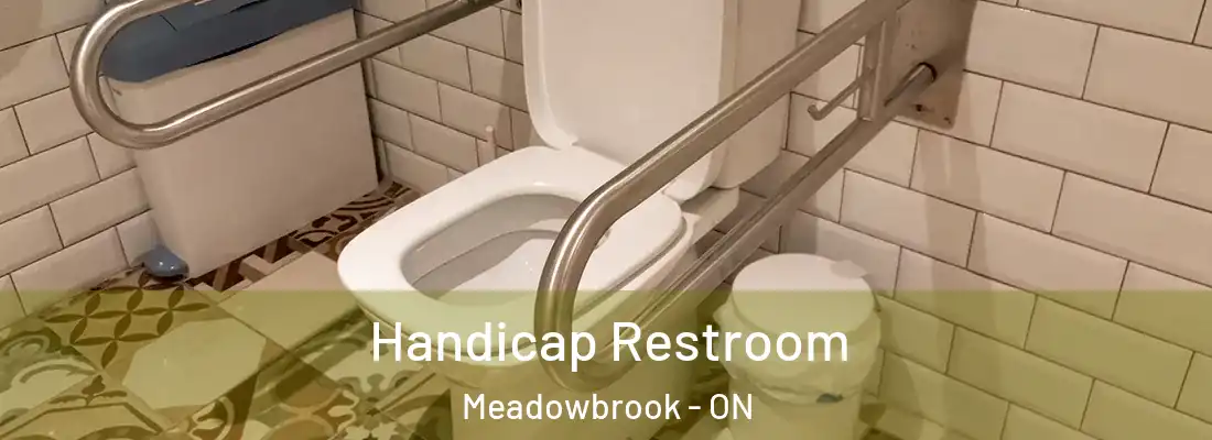  Handicap Restroom Meadowbrook - ON