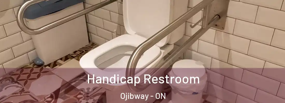  Handicap Restroom Ojibway - ON