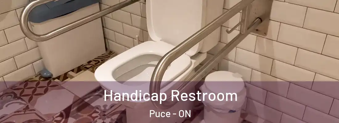  Handicap Restroom Puce - ON