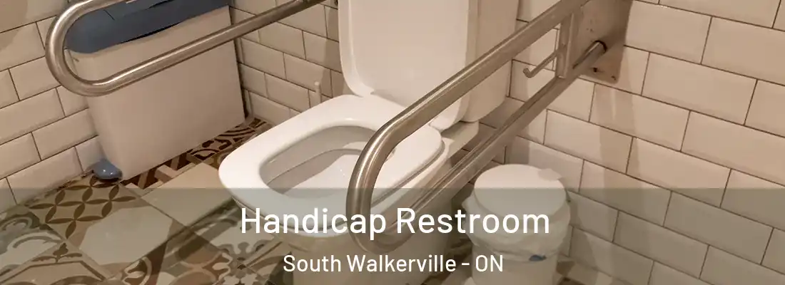  Handicap Restroom South Walkerville - ON