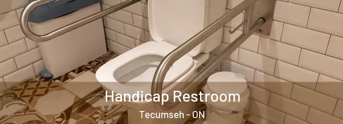  Handicap Restroom Tecumseh - ON