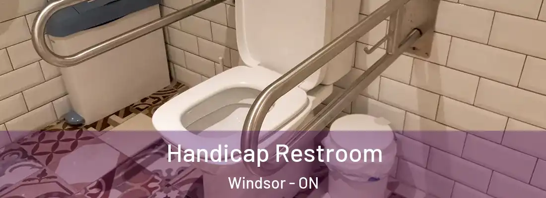  Handicap Restroom Windsor - ON