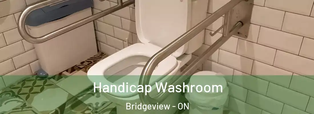  Handicap Washroom Bridgeview - ON