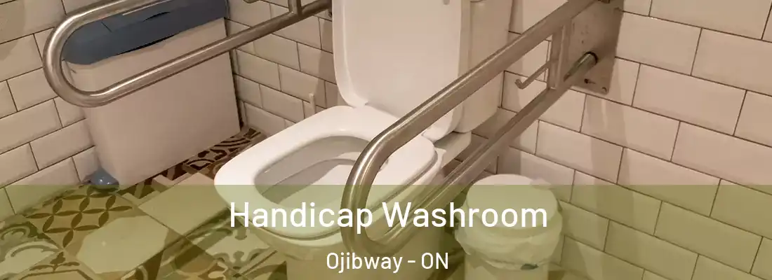 Handicap Washroom Ojibway - ON