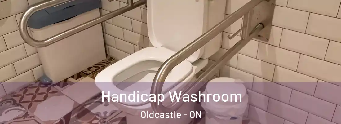  Handicap Washroom Oldcastle - ON