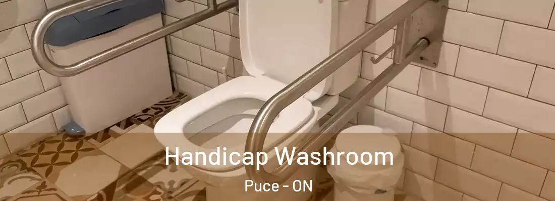  Handicap Washroom Puce - ON