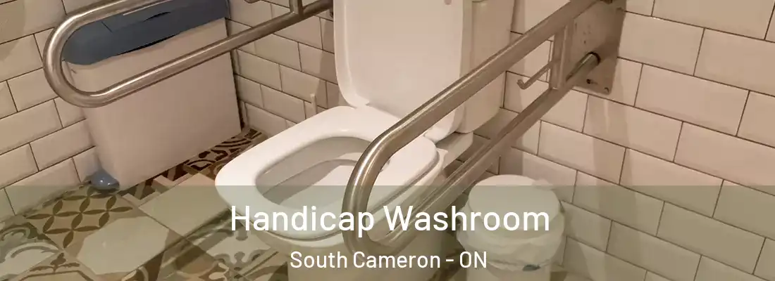  Handicap Washroom South Cameron - ON