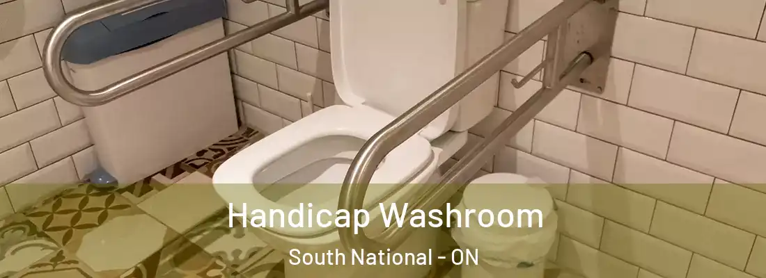  Handicap Washroom South National - ON