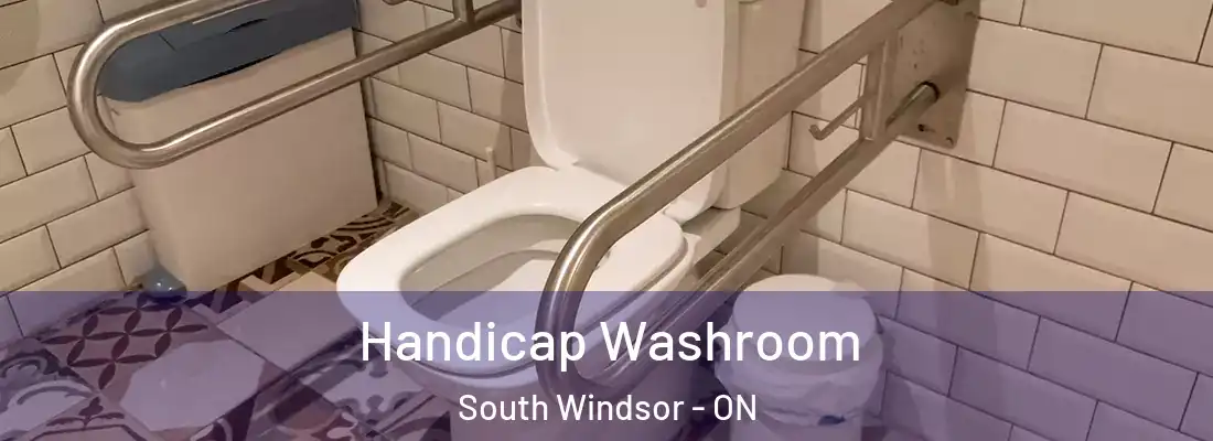  Handicap Washroom South Windsor - ON