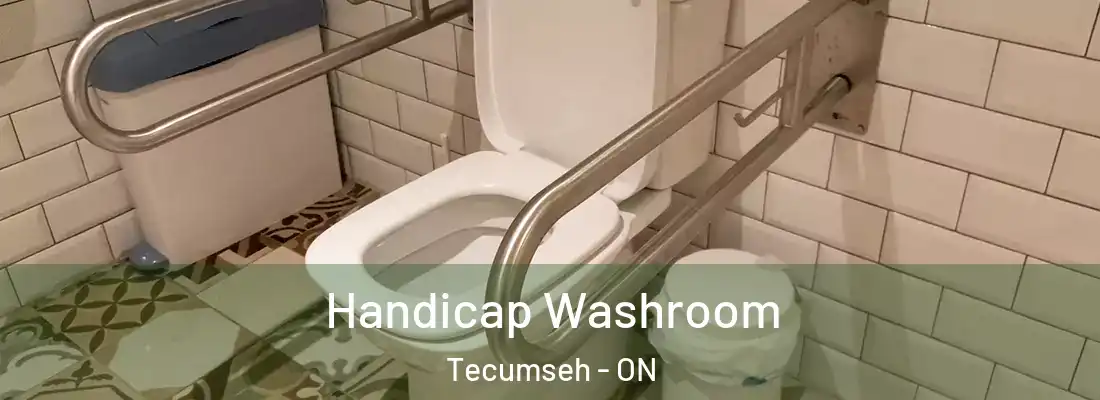  Handicap Washroom Tecumseh - ON