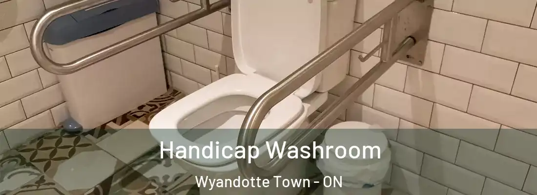  Handicap Washroom Wyandotte Town - ON