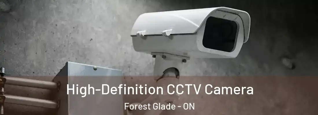  High-Definition CCTV Camera Forest Glade - ON