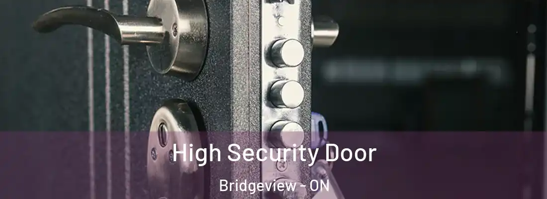  High Security Door Bridgeview - ON