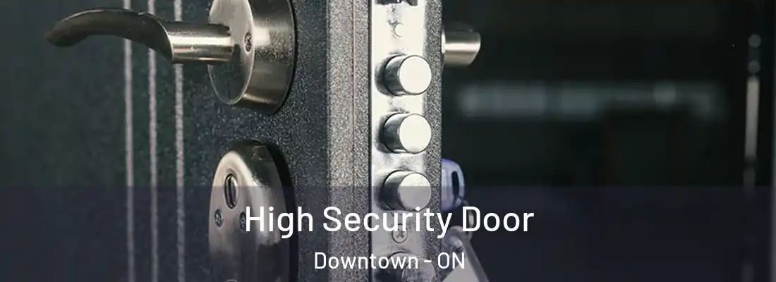  High Security Door Downtown - ON