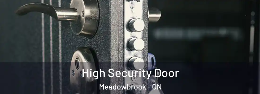  High Security Door Meadowbrook - ON