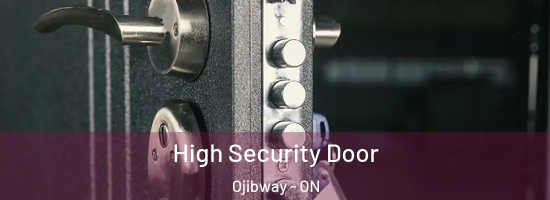 High Security Door Ojibway - ON