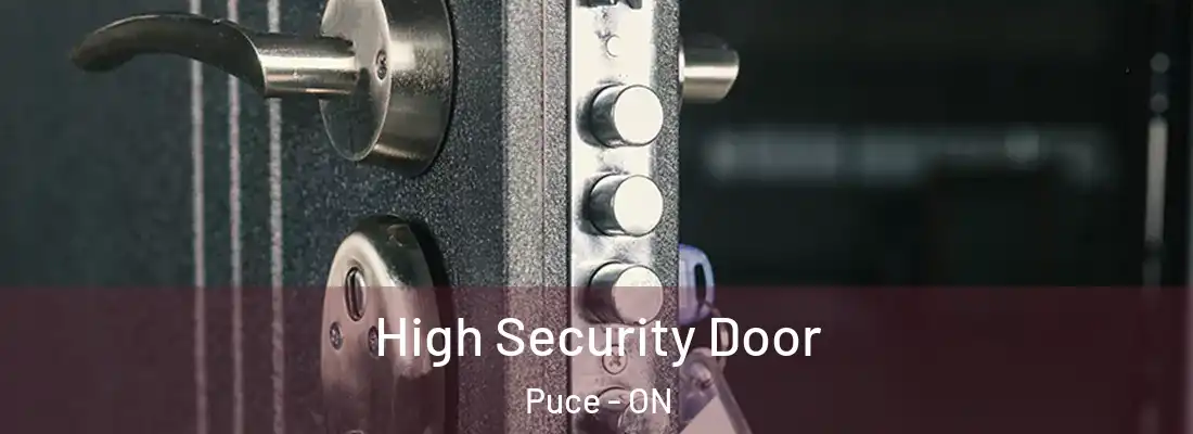  High Security Door Puce - ON