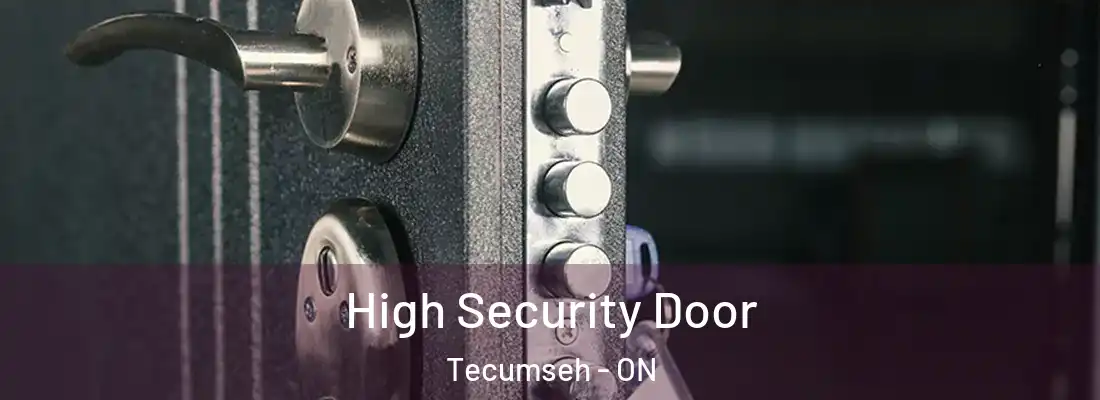  High Security Door Tecumseh - ON