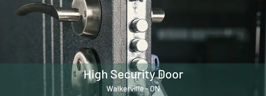  High Security Door Walkerville - ON