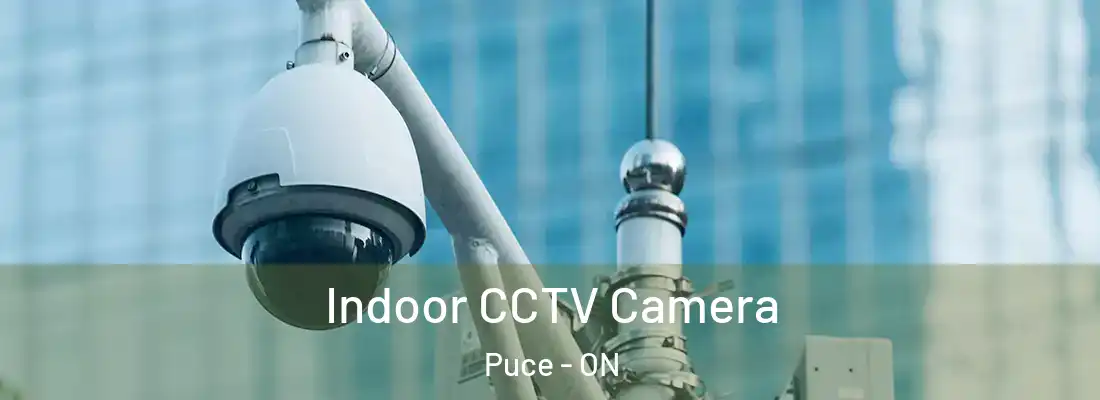 Indoor CCTV Camera Puce - ON