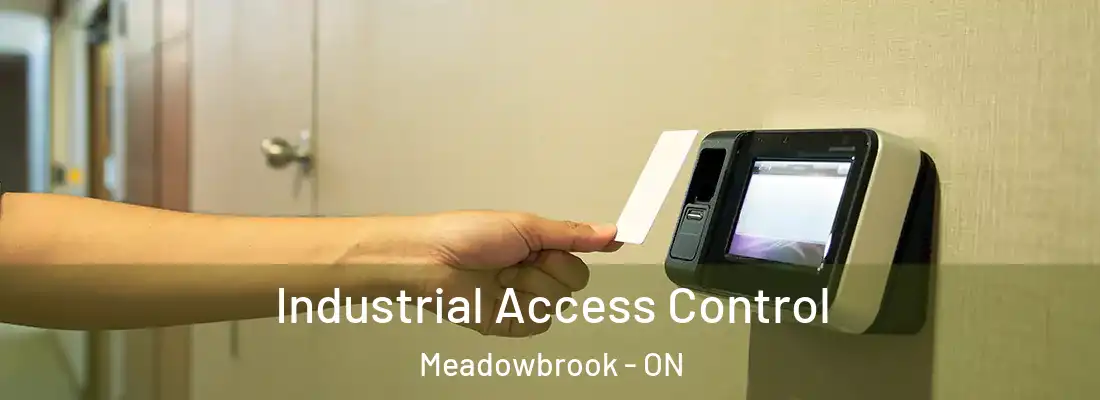  Industrial Access Control Meadowbrook - ON