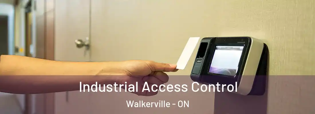  Industrial Access Control Walkerville - ON
