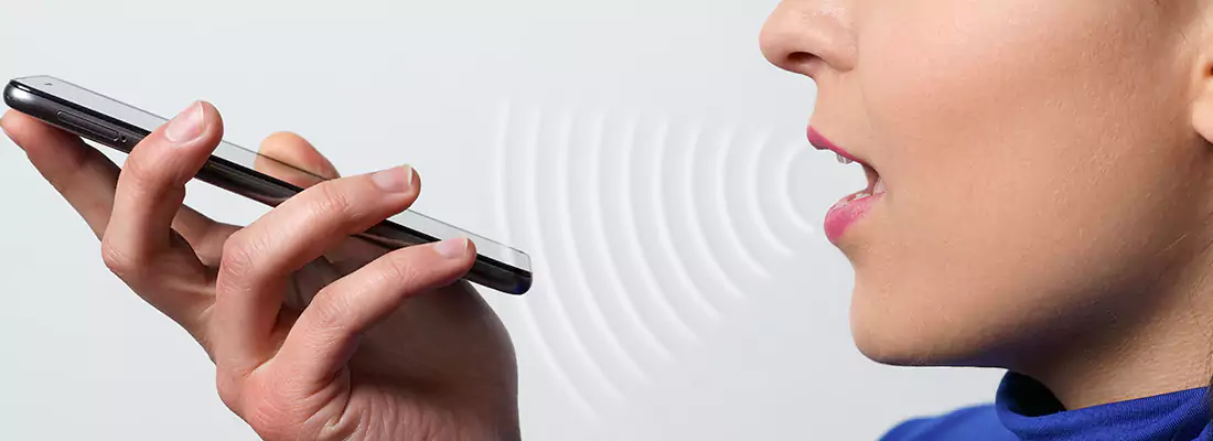 Residential and Commercial Voice Recognition Access Solutions in Windsor, ON