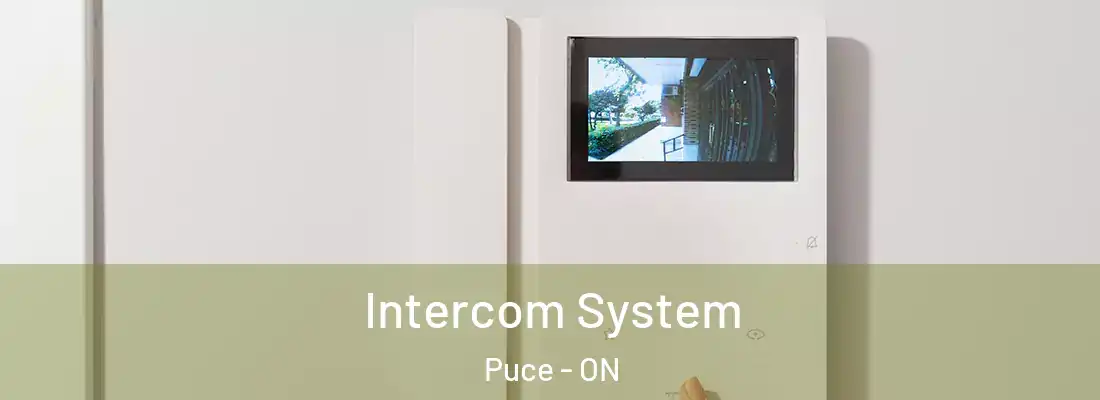  Intercom System Puce - ON