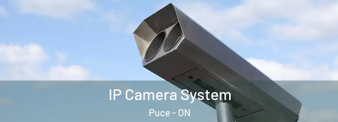 IP Camera System Puce - ON