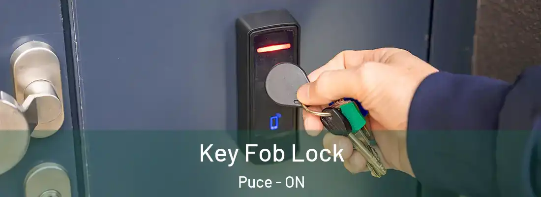  Key Fob Lock Puce - ON