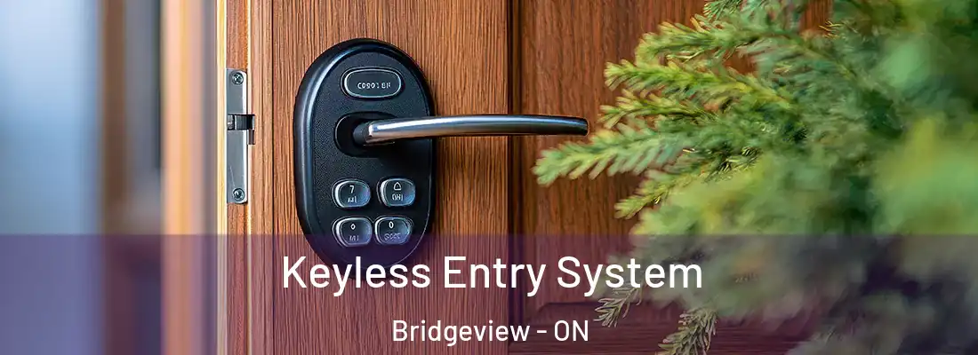  Keyless Entry System Bridgeview - ON