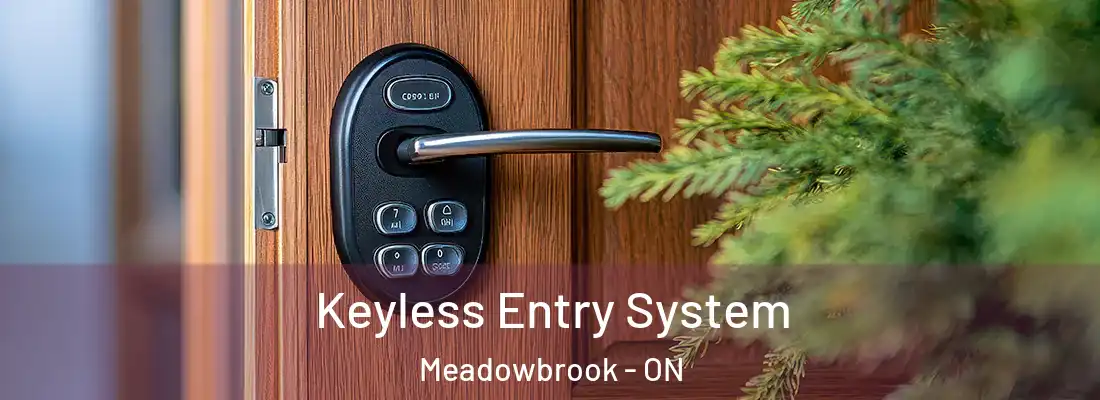  Keyless Entry System Meadowbrook - ON