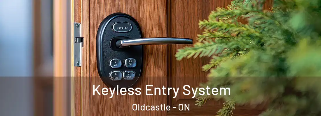  Keyless Entry System Oldcastle - ON