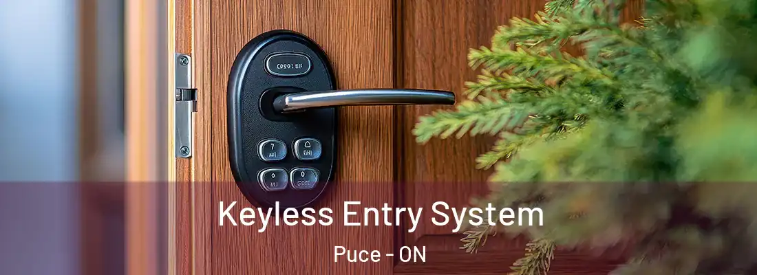  Keyless Entry System Puce - ON