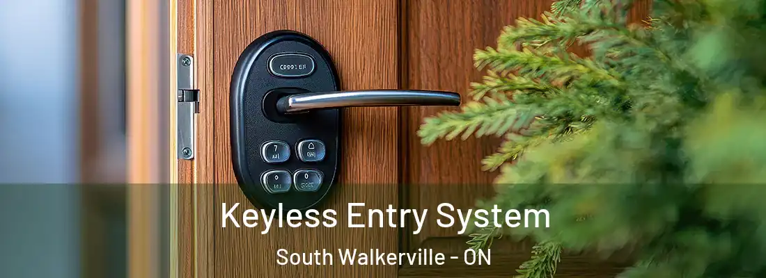 Keyless Entry System South Walkerville - ON