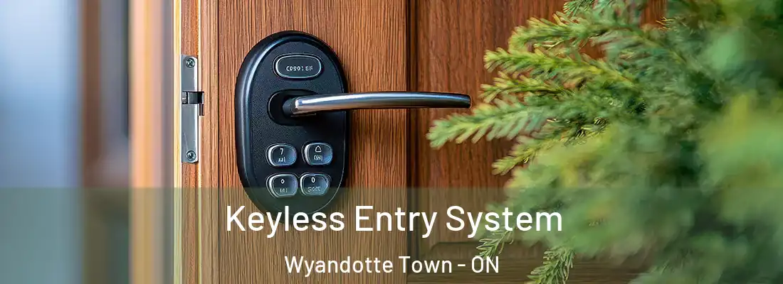  Keyless Entry System Wyandotte Town - ON