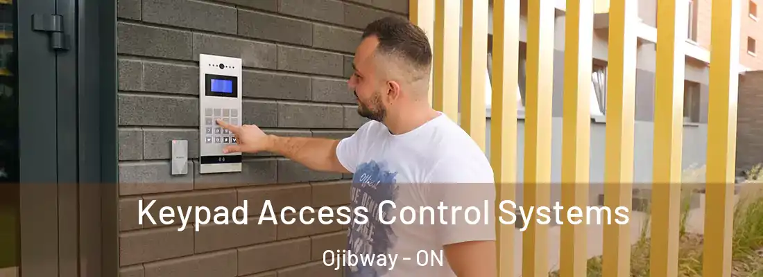  Keypad Access Control Systems Ojibway - ON