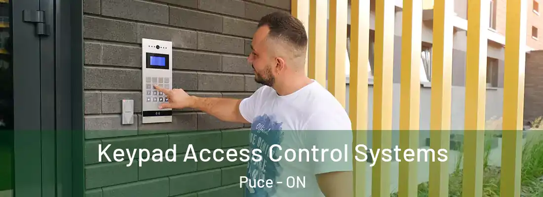  Keypad Access Control Systems Puce - ON