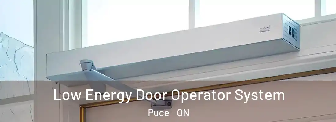  Low Energy Door Operator System Puce - ON