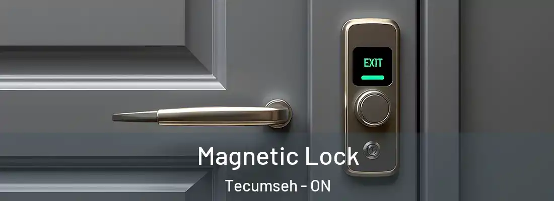  Magnetic Lock Tecumseh - ON
