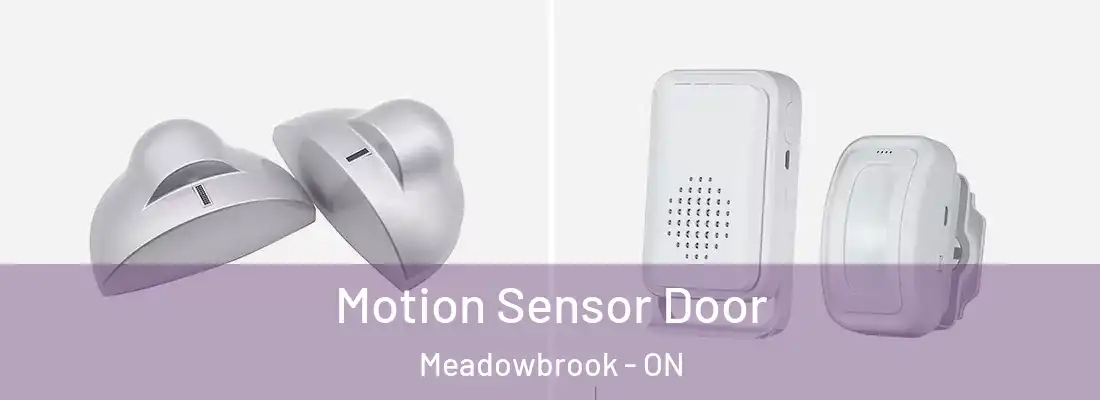  Motion Sensor Door Meadowbrook - ON
